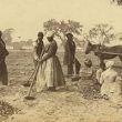 Gullah Language